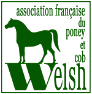 Logo Poney Welsh